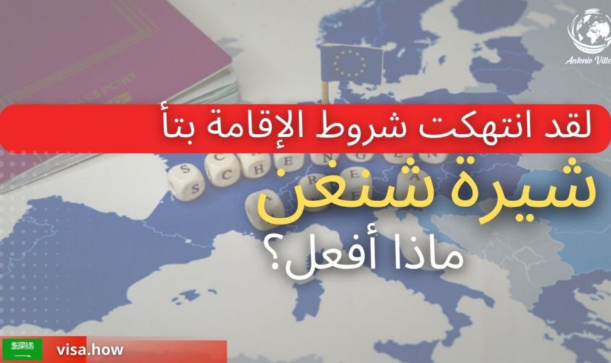 You overstayed your Schengen visa, what should you do?