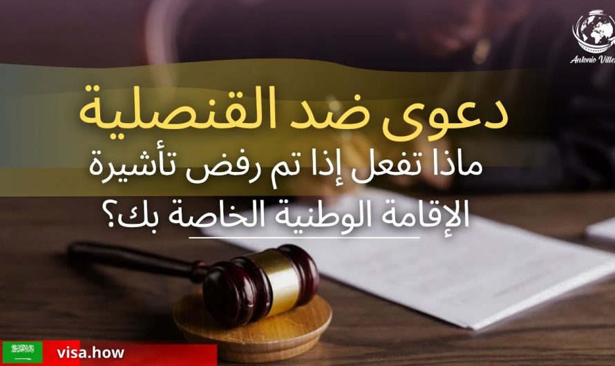 Lawsuit Against the Consulate: What to Do If Your National Visa Is Denied?